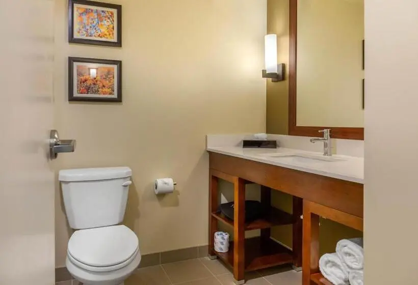 スタンダードルーム, Comfort Inn & Suites Amish Country