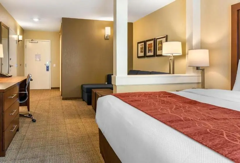 キングサイズベッドのスイートルーム, Comfort Inn & Suites Amish Country