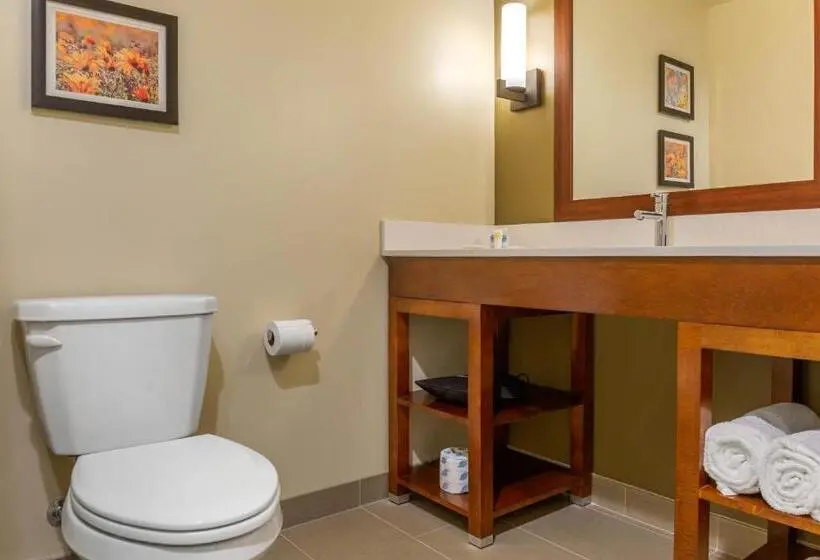 キングサイズベッドのスイートルーム, Comfort Inn & Suites Amish Country