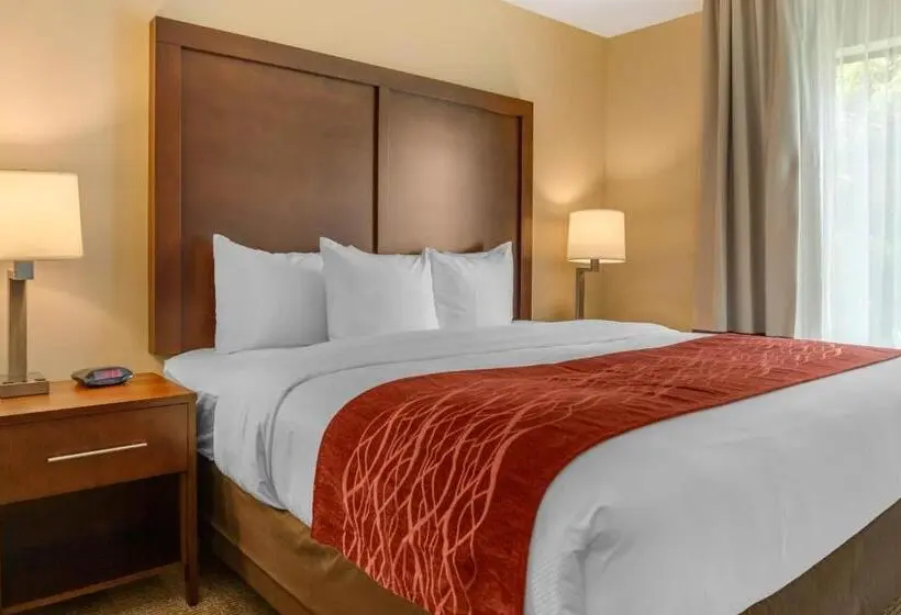 キングサイズベッドのスイートルーム, Comfort Inn & Suites Amish Country