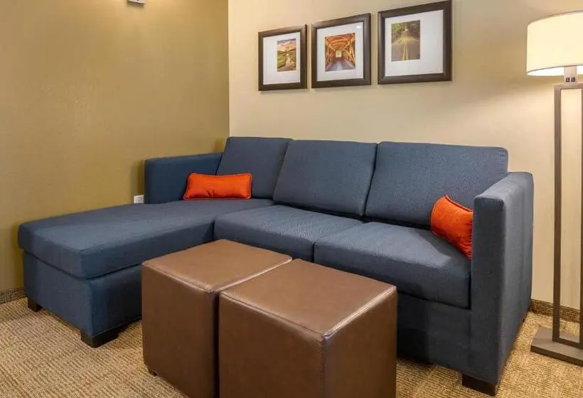 キングサイズベッドのスイートルーム, Comfort Inn & Suites Amish Country