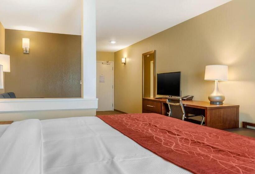 Люкс Адаптированный для Инвалидов, Comfort Inn & Suites Amish Country