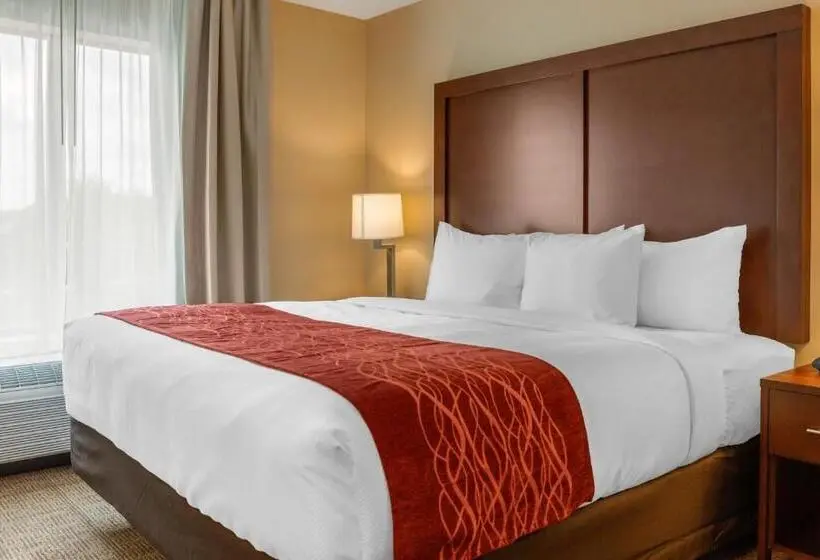 身障者適用スイートルーム, Comfort Inn & Suites Amish Country