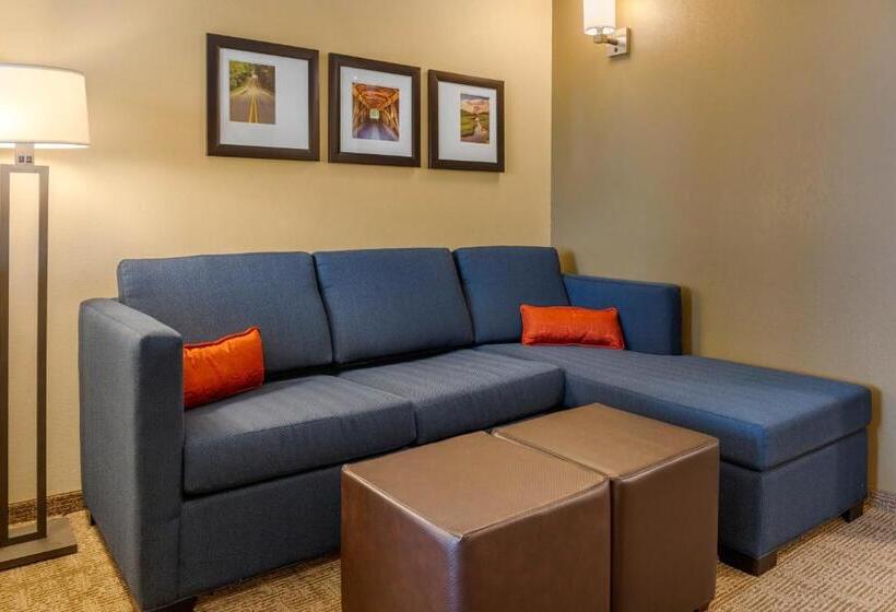 جناح لذوى الاحتياجات الخاصة, Comfort Inn & Suites Amish Country