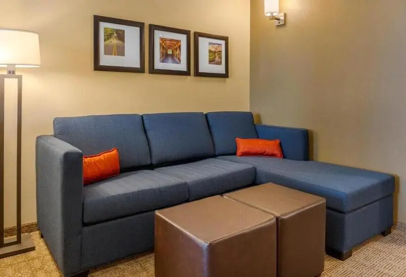 身障者適用スイートルーム, Comfort Inn & Suites Amish Country