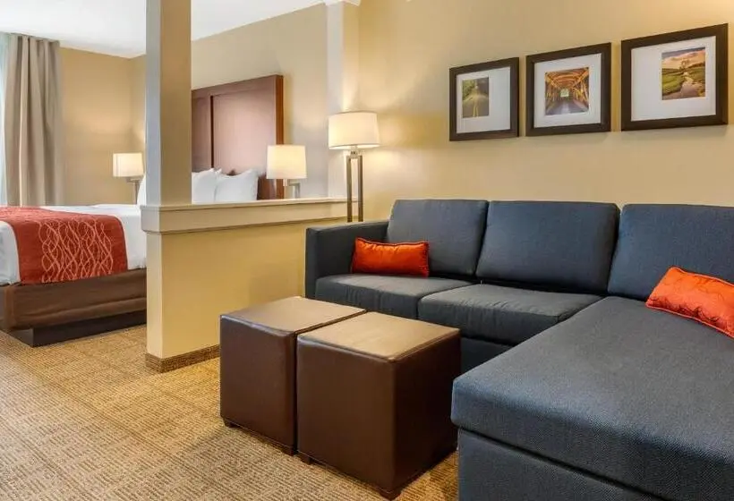 身障者適用スイートルーム, Comfort Inn & Suites Amish Country