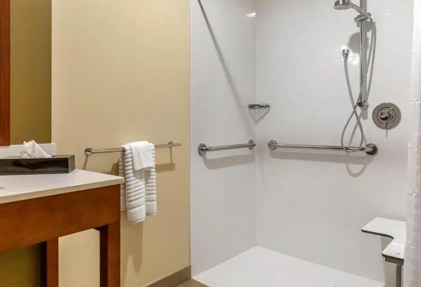 身障者適用キングサイズベッドルーム, Comfort Inn & Suites Amish Country