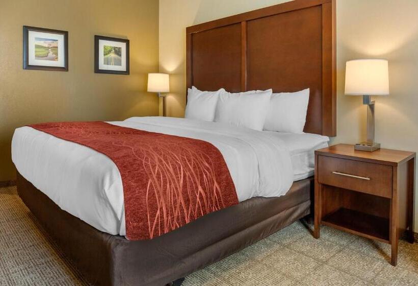 غرفة قياسية سرير كينج لذوى الإحتياجات الخاصة, Comfort Inn & Suites Amish Country