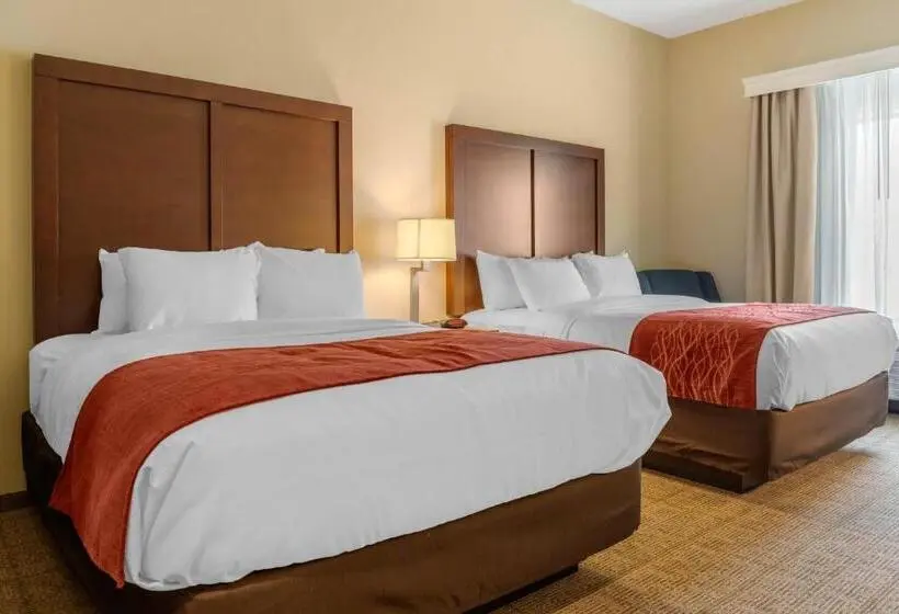身障者適用スタンダードルーム, Comfort Inn & Suites Amish Country