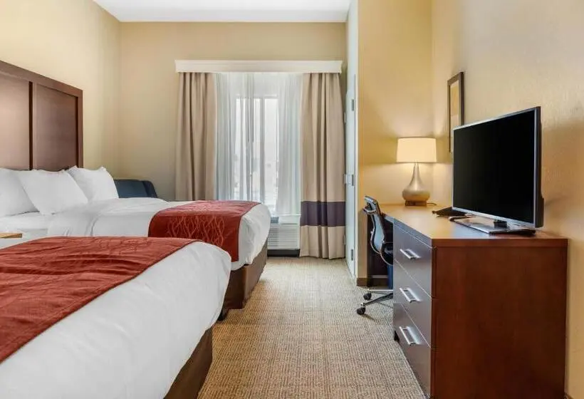 身障者適用スタンダードルーム, Comfort Inn & Suites Amish Country