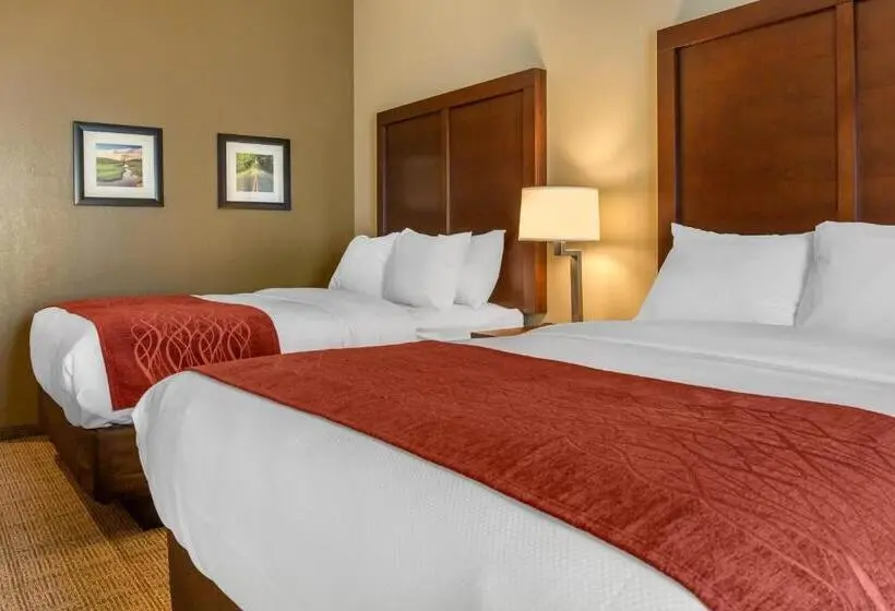 身障者適用スタンダードルーム, Comfort Inn & Suites Amish Country