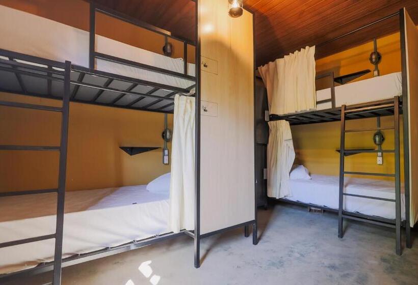 共用房间的床, Selina Paraty