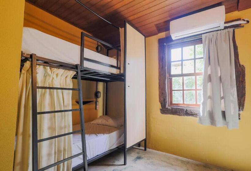 共用房间的床, Selina Paraty