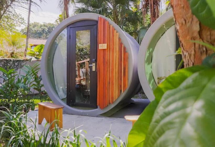 带共用浴室的标准房间, Selina Paraty