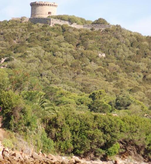 标准间带露台, Campomoro