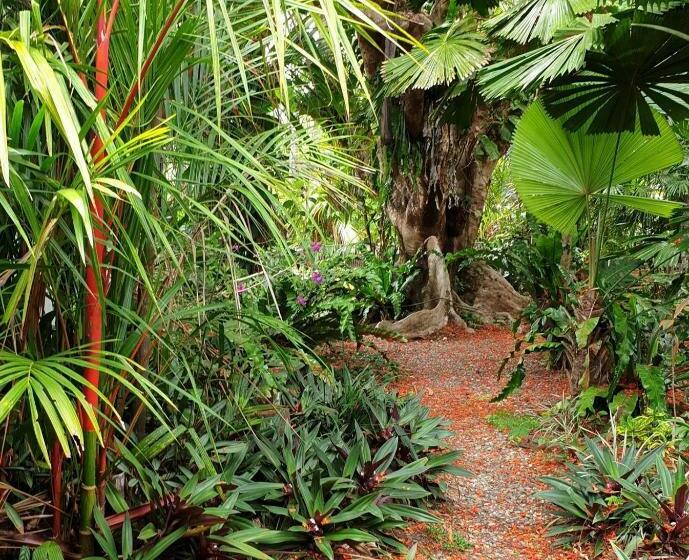 标准间, Rainforest Castaways Resort And Spa