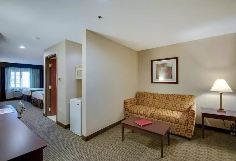 身障者適用スイートルーム, Best Western Plus The Inn At Hampton
