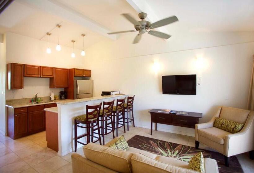 آپارتمان 2 خوابه با چشم‌انداز دریا, Castle At Kaua I Kailani