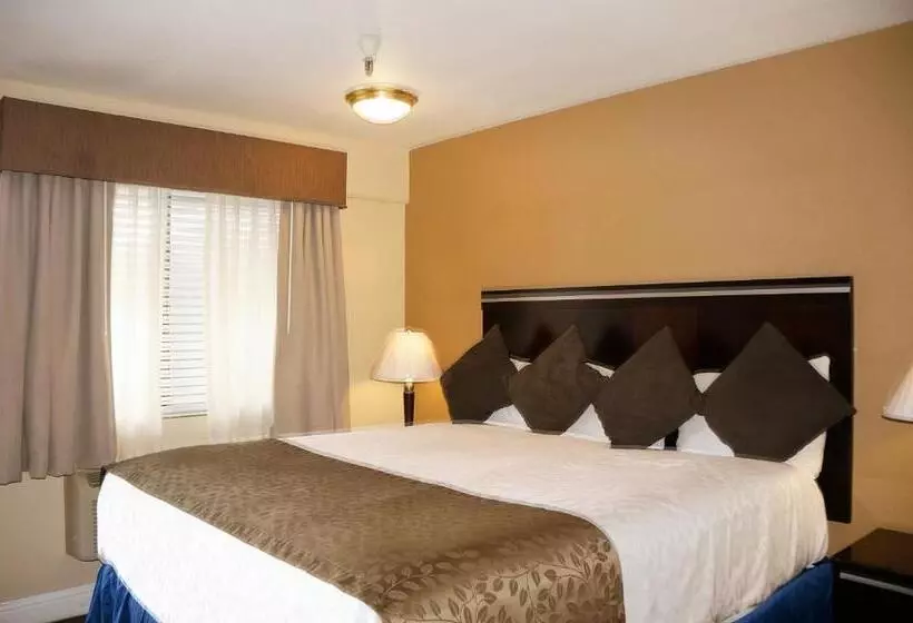 اتاق استاندارد با تخت بزرگ, Executive Inn