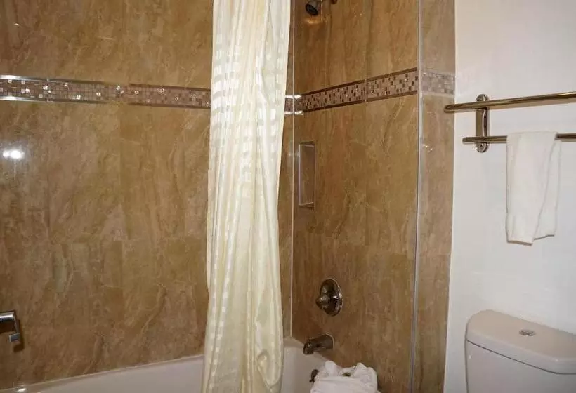اتاق استاندارد با تخت بزرگ, Executive Inn