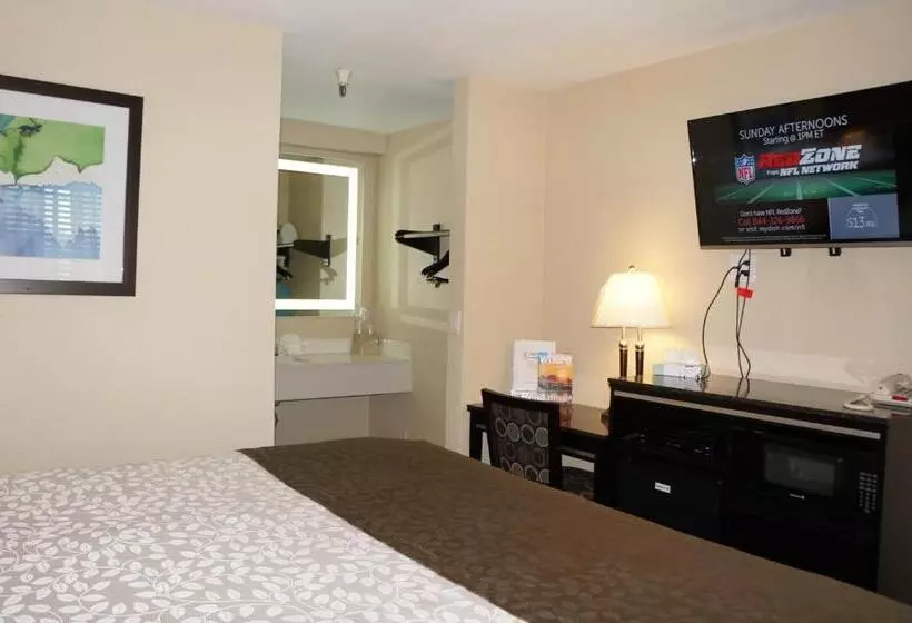 اتاق استاندارد با تخت بزرگ, Executive Inn
