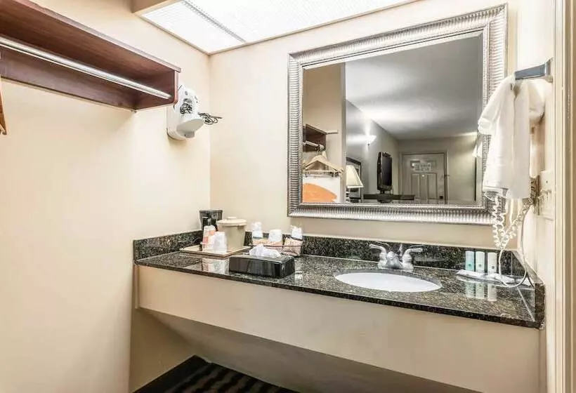 ２ダブルベッドのスタンダードルーム, Quality Inn Decatur River City