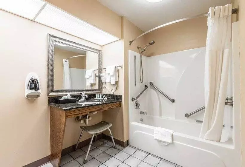 ２ダブルベッドのスタンダードルーム, Quality Inn Decatur River City