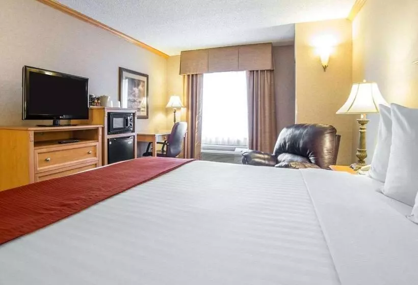 キングサイズベッドのスタンダードルーム, Quality Inn & Suites Casper Near Event Center