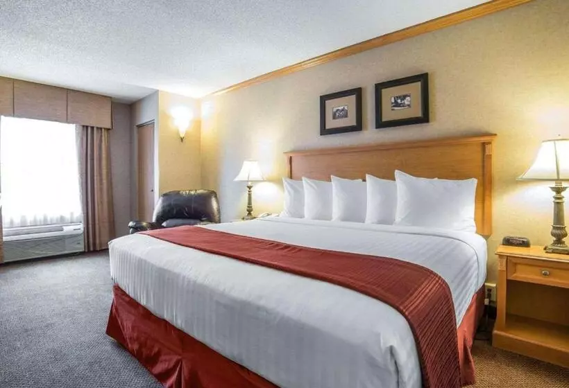 キングサイズベッドのスタンダードルーム, Quality Inn & Suites Casper Near Event Center