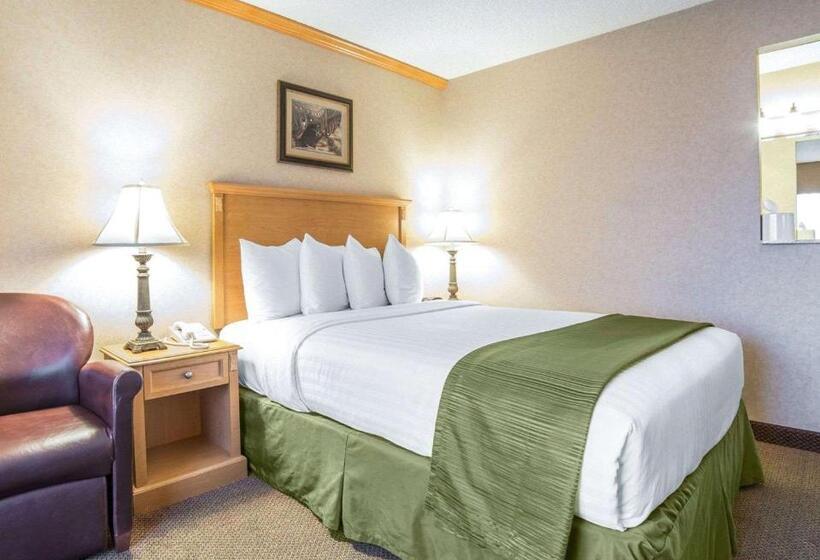 Номер Стандарт, Quality Inn & Suites Casper Near Event Center