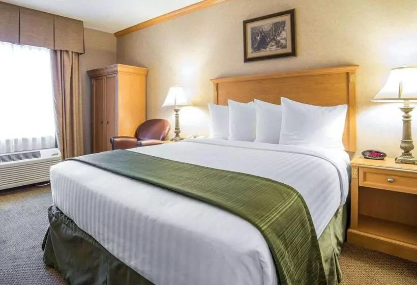スタンダードルーム, Quality Inn & Suites Casper Near Event Center