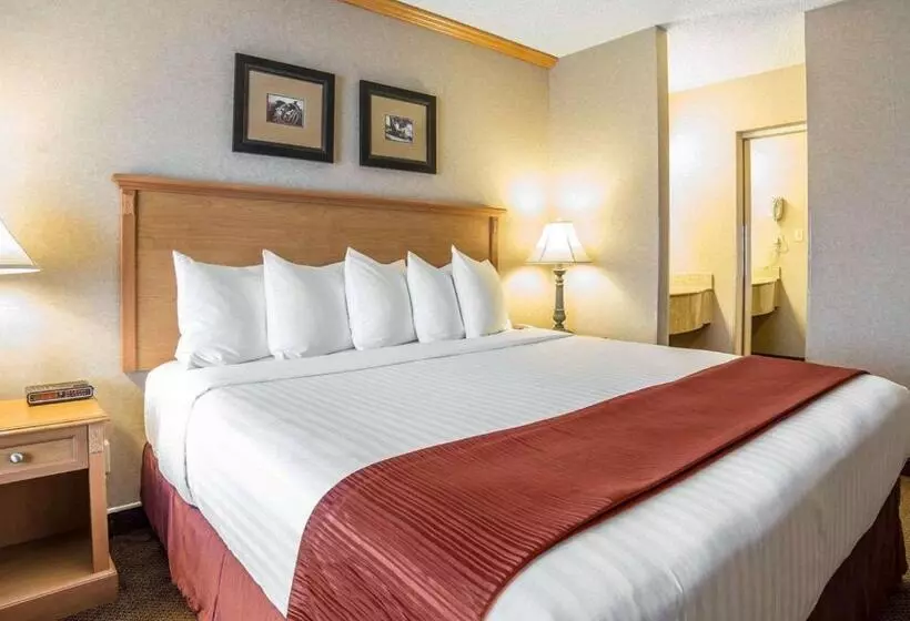 キングサイズベッドのスイートルーム, Quality Inn & Suites Casper Near Event Center