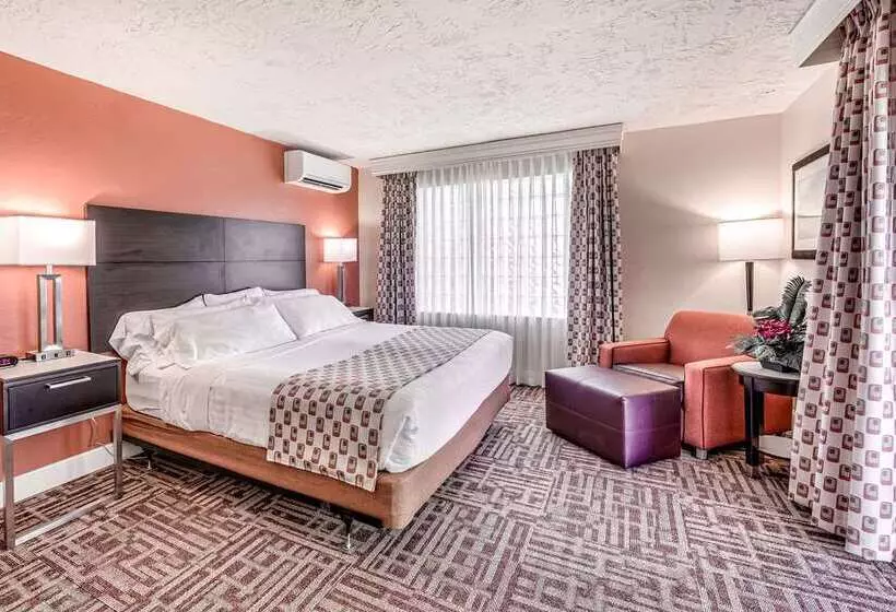 キングサイドベッドのスタンダードワンルーム, The Inverness Denver, a Hilton Golf & Spa Resort