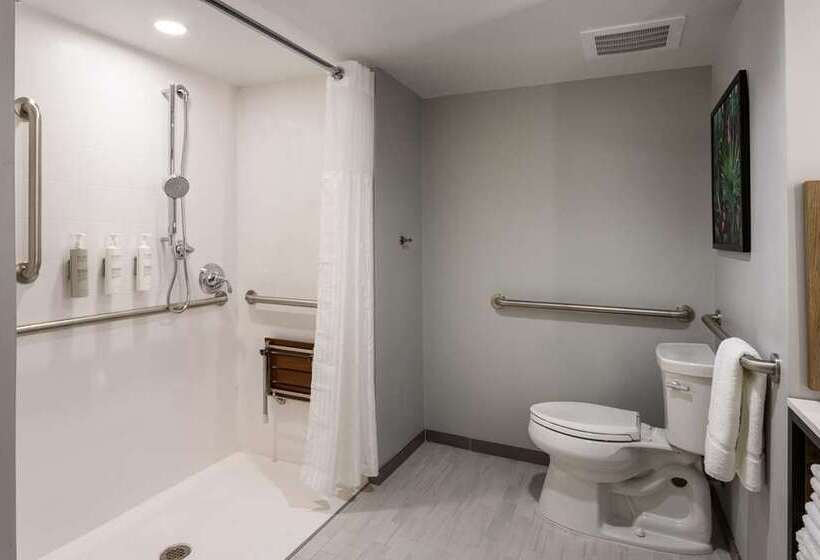 إستوديو قياسى سرير كينج, The Inverness Denver, a Hilton Golf & Spa Resort