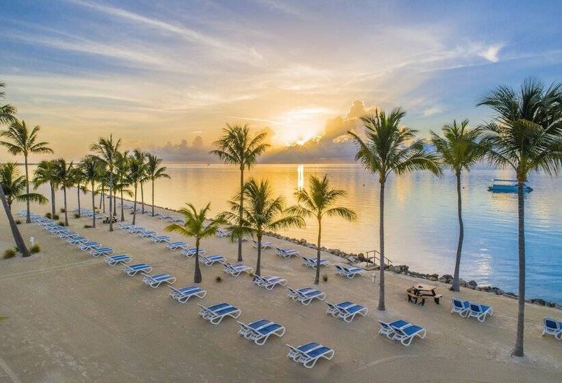 ダブルベッドのスタンダードスタジオ, Islander Resort