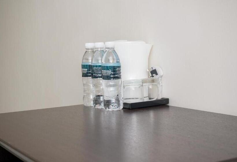 חדר סטנדרט לשלושה, Dcozy