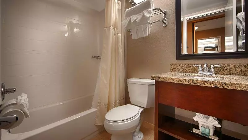 اتاق استاندارد با تخت بزرگ, Best Western Los Alamitos Inn & Suites