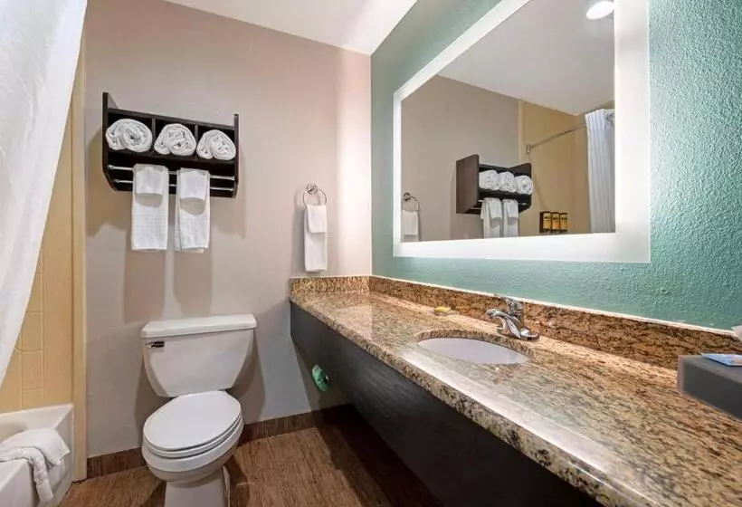 キングサイズベッドのスタンダードルーム, Best Western Plus Greenwood Indy South Inn