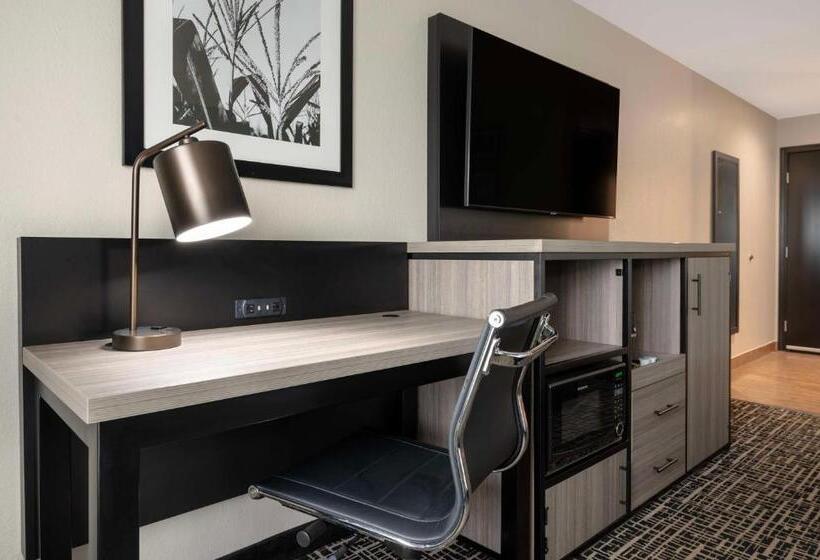 غرفة قياسية سرير كينج, Best Western Plus Greenwood Indy South Inn