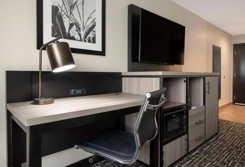 キングサイズベッドのスタンダードルーム, Best Western Plus Greenwood Indy South Inn