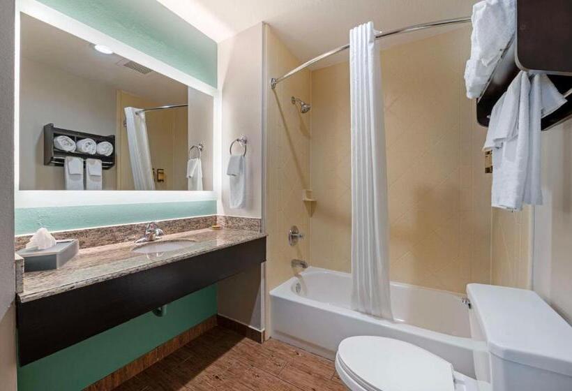 غرفة قياسية سرير كينج, Best Western Plus Greenwood Indy South Inn