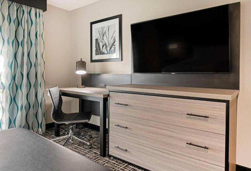 جناح غرفتين نوم, Best Western Plus Greenwood Indy South Inn