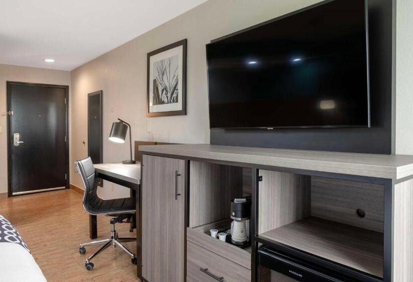 מיטת קינג בסוויטה, Best Western Plus Greenwood Indy South Inn