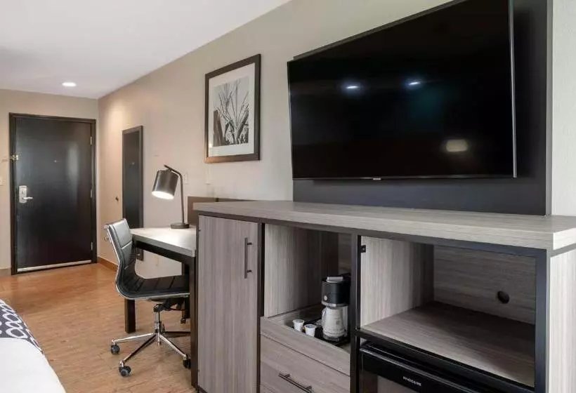 キングサイズベッドのスイートルーム, Best Western Plus Greenwood Indy South Inn