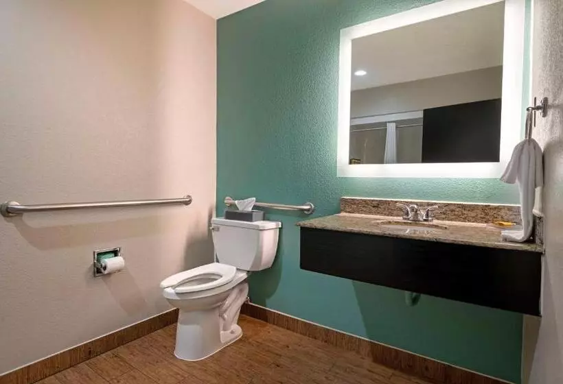 身障者適用キングサイズベッドルーム, Best Western Plus Greenwood Indy South Inn