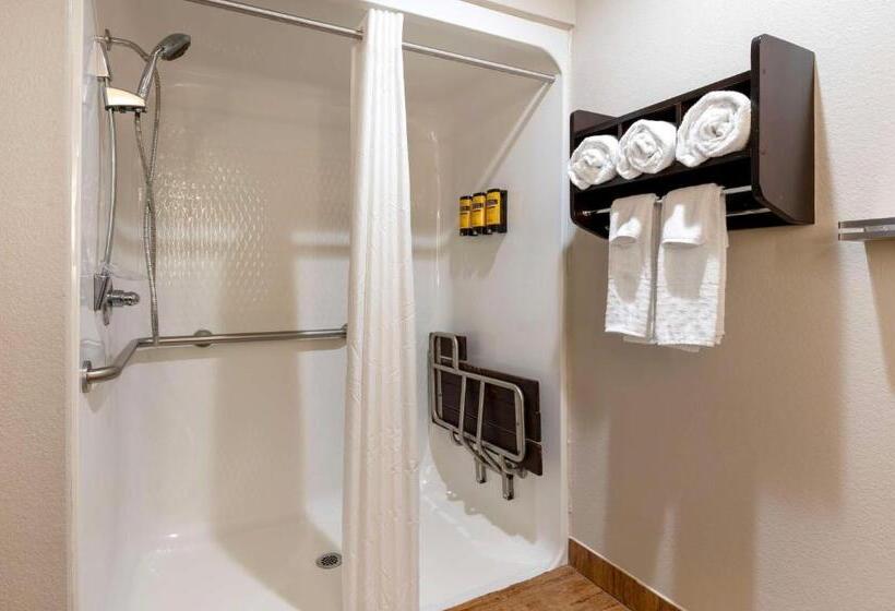 身障者適用キングサイズベッドルーム, Best Western Plus Greenwood Indy South Inn