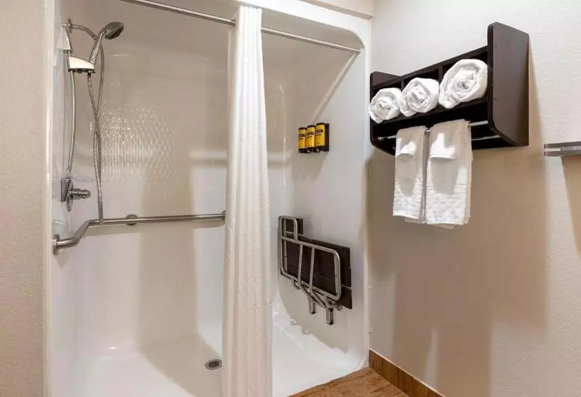 身障者適用キングサイズベッドルーム, Best Western Plus Greenwood Indy South Inn