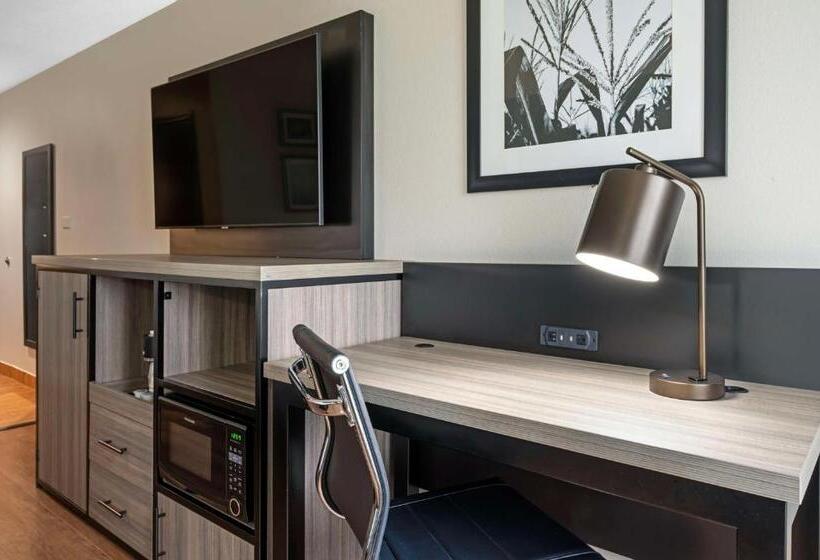 غرفة قياسية سرير كينج لذوى الإحتياجات الخاصة, Best Western Plus Greenwood Indy South Inn