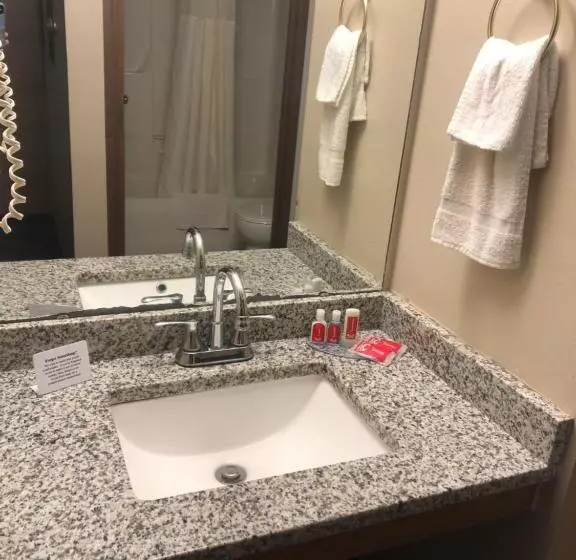 キングサイズベッドのスタンダードルーム, Econo Lodge