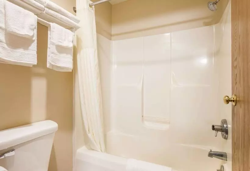 ２ダブルベッドのスタンダードルーム, Econo Lodge
